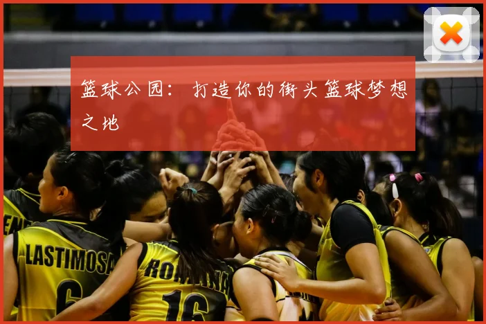 篮球公园：打造你的街头篮球梦想之地